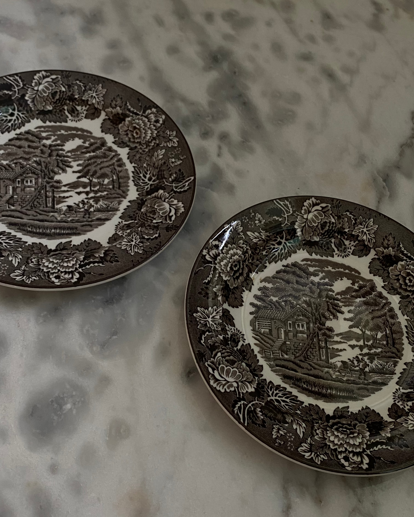 Pair of Vintage Ironstone Side Plates with Brown Transferware Design - The Estate